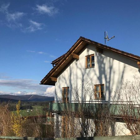 Ferienwohnungen Lusenblick 弗赖翁 外观 照片